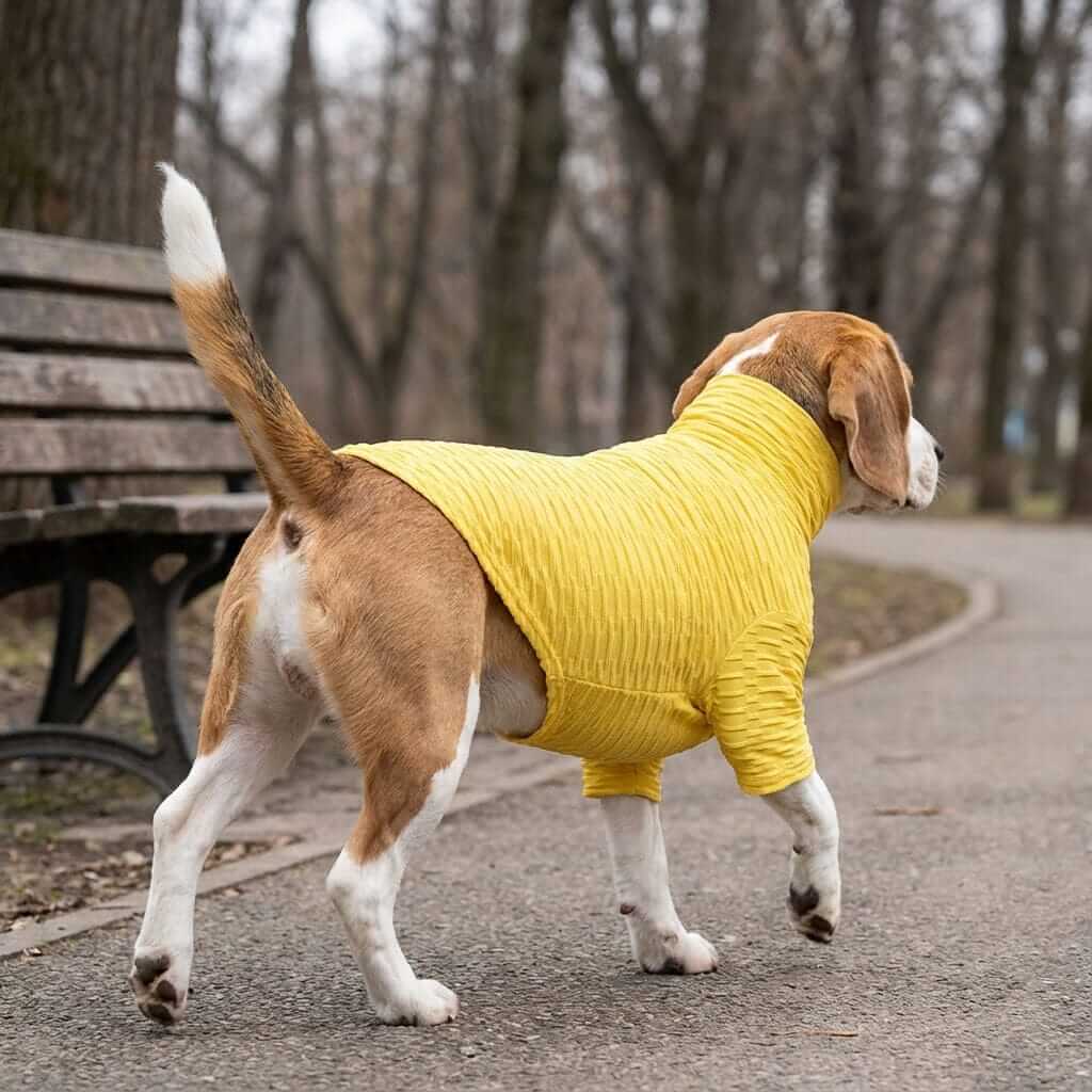 Honey Comb Pattern High Neck Dog Shirt worn by a beagle, featuring breathable fabric, high neck, and leash hole, perfect for colder days.