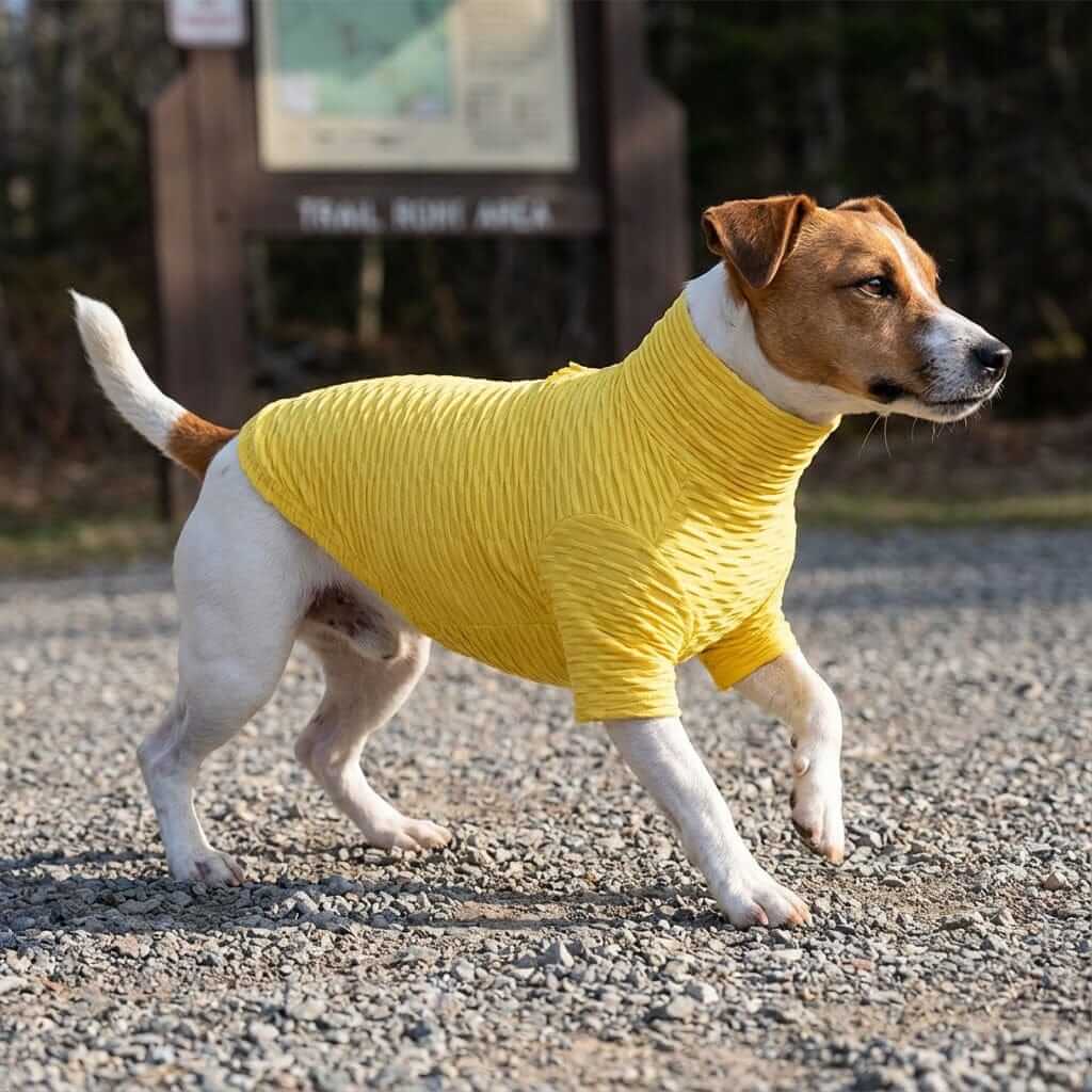 Honey Comb Pattern High Neck Dog Shirt for dogs, featuring breathable fabric, lightweight feel, and a leash hole back.