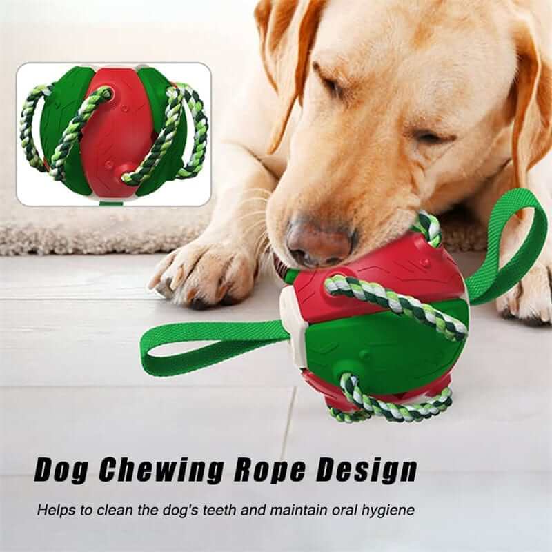Indestructible Dog Ball & Interactive Toy with dog chewing rope design for oral hygiene and durable play.