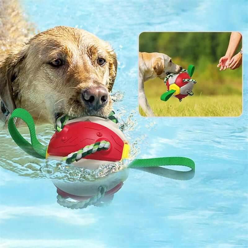 Indestructible Dog Ball & Interactive Toy in water, durable pet toy for dogs and cats, engaging fetch game.