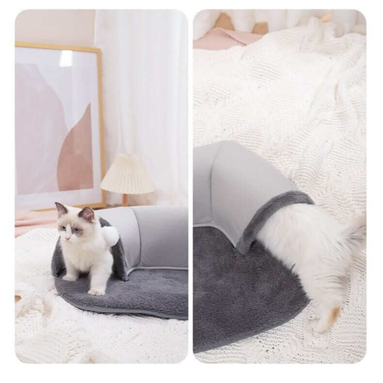 Interactive Cat Tunnel Bed with a playful tunnel and cozy mat for cats to rest and play.