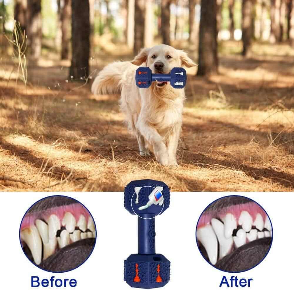 Interactive Treat Dispensing Dumbbell Dog Toy, engaging chew toy for dogs, promotes healthy chewing, Dogs & Cats brand.