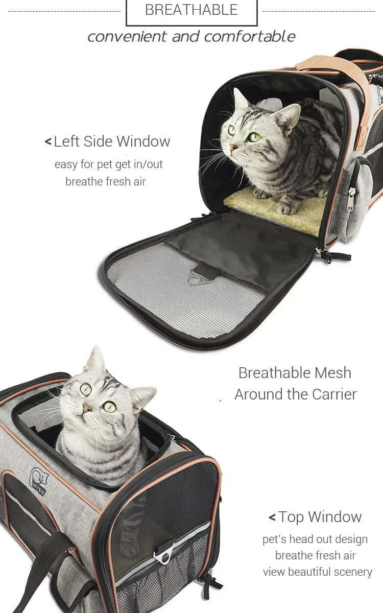 JetSet Paws Luxury Travel Pet Carrier & Car Seat with breathable mesh and windows for dogs and cats.