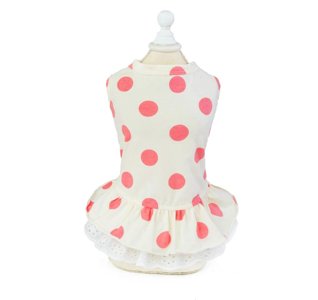 Lace Polka Dot Dog Dress featuring lace edges, perfect for dogs in spring and summer by Dogs & Cats brand.