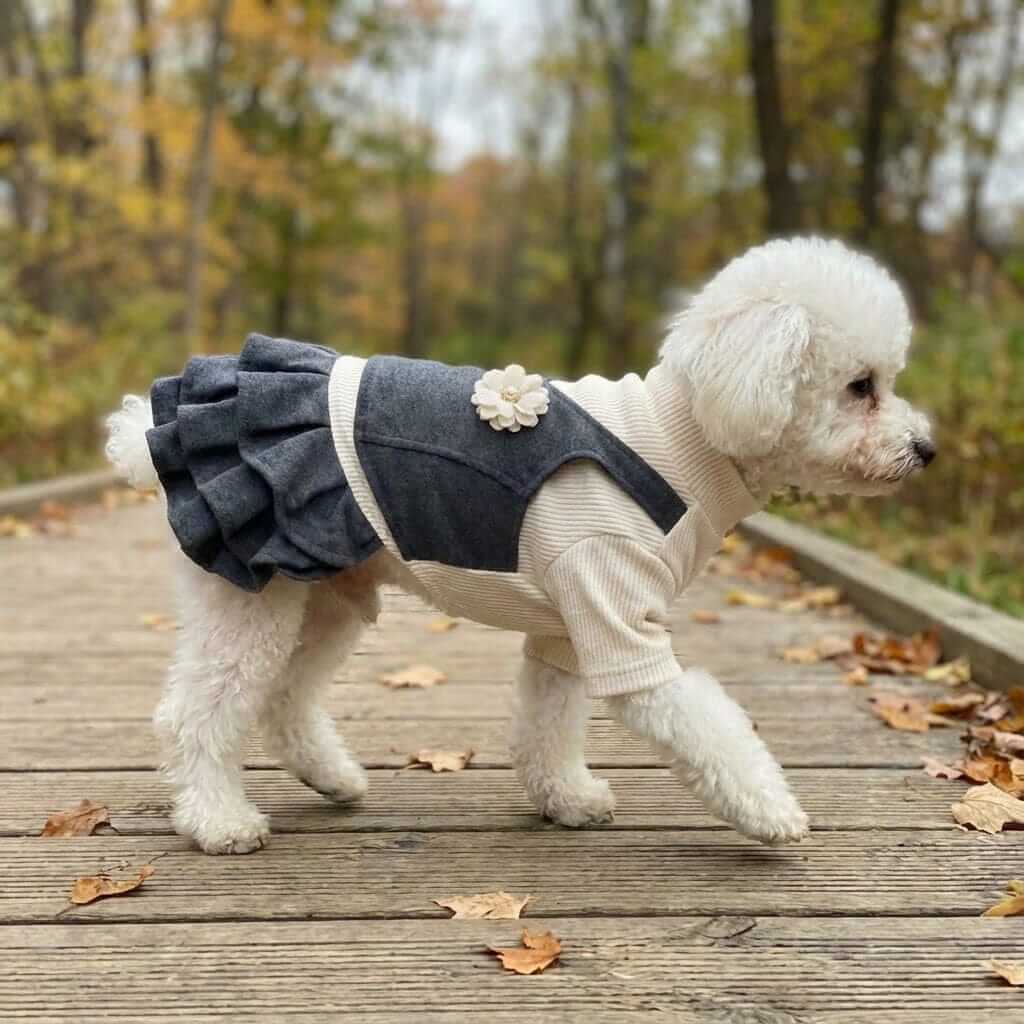 Lapel Flower Ruffle Dog Dress on a white dog, made of buttery soft fabric with ruffles for comfort, by Dogs & Cats.