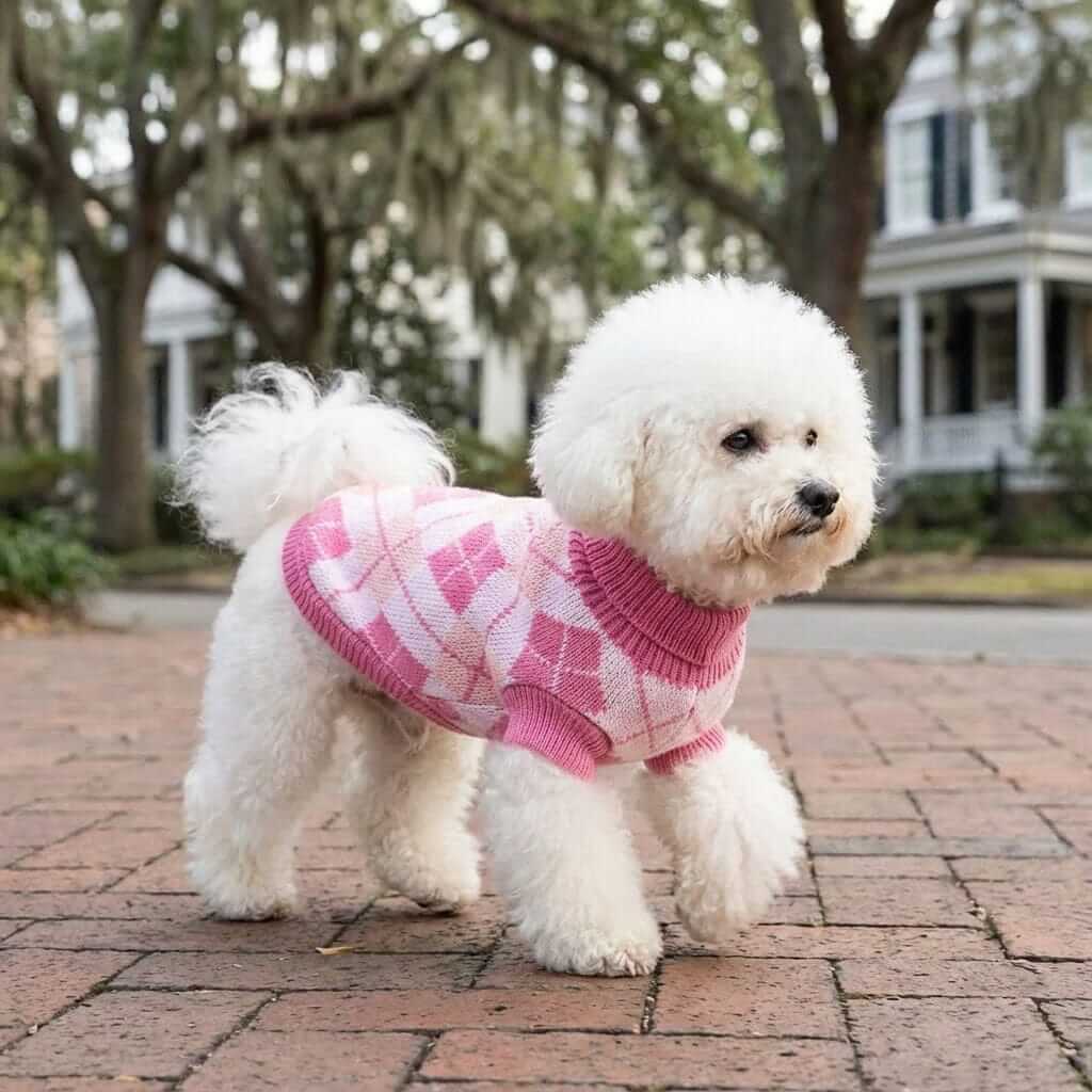 London Checkered Knitted Sweater on a fluffy dog outdoors, showcasing its pullover design and warm knitted material.