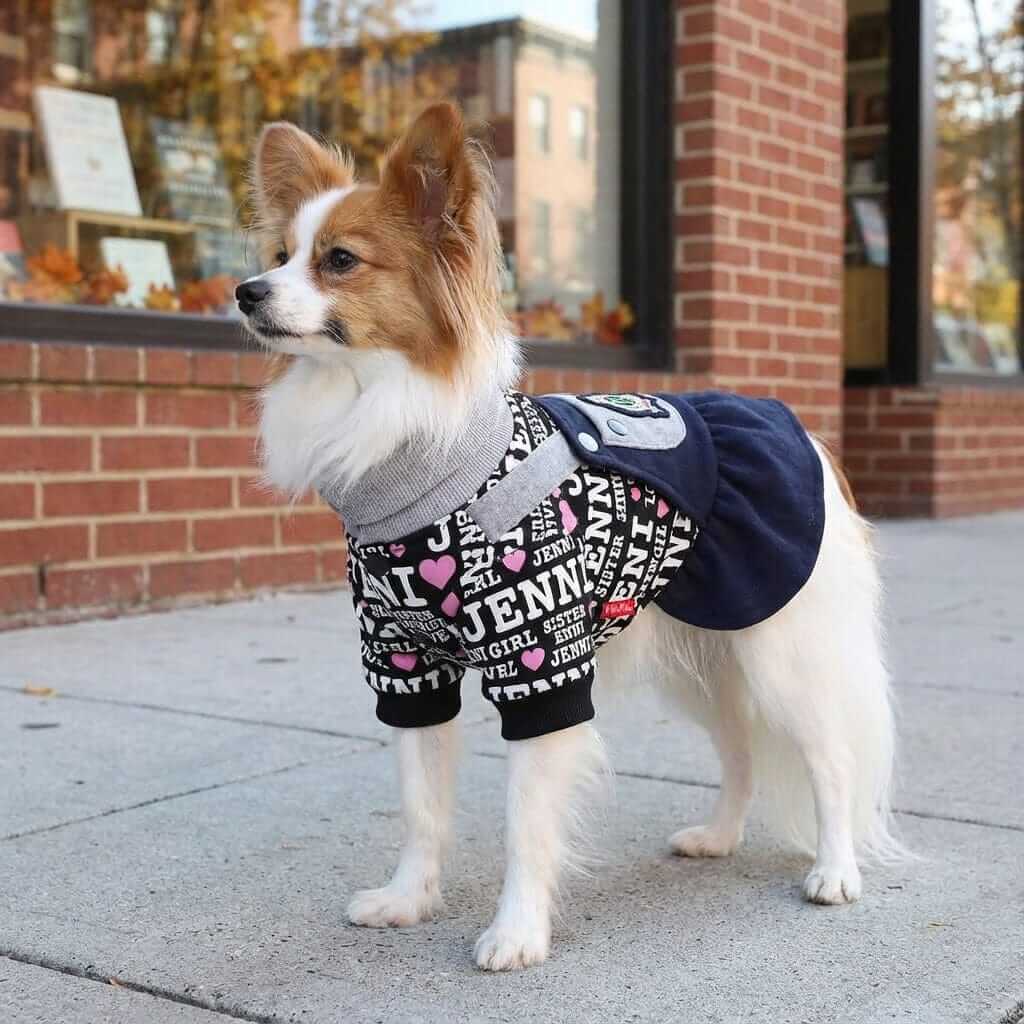 Love Letter Short Sleeve Sweater on a dog, featuring breathable fabric, cozy design, perfect for chilly days.