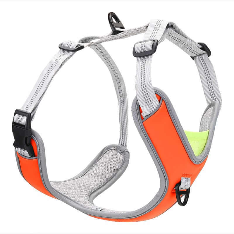 LumiGuard Reflective Dog Harness in orange with adjustable straps for medium to large dogs, by Dogs & Cats brand.