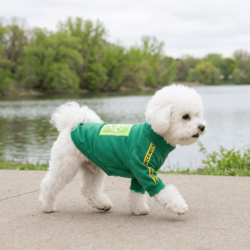 More Love Dog T-Shirt on a stylish white dog by the water, showcasing comfort and fashion for dogs.