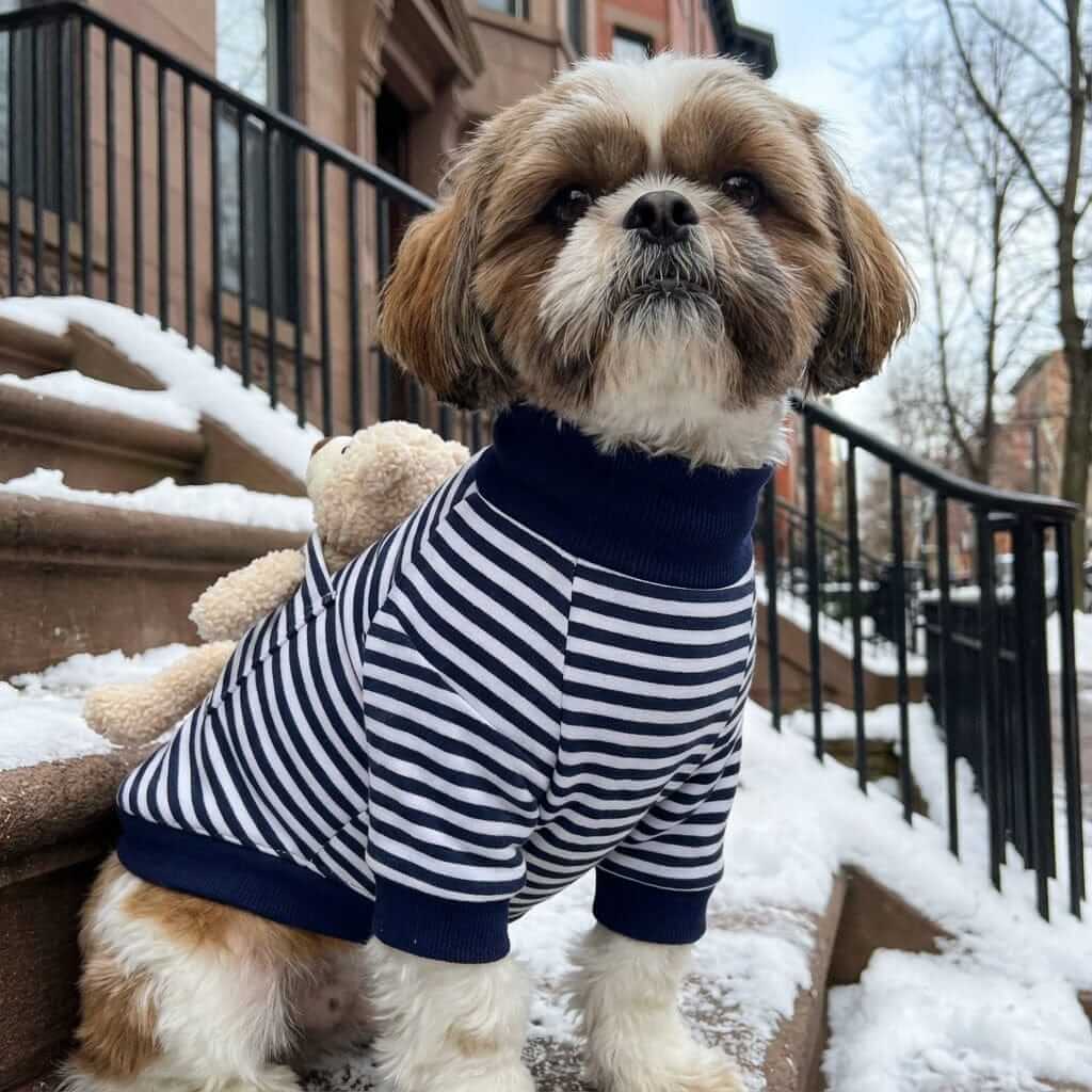 My Teddy Bear Small Dog Sweater on a dog, featuring a striped design and teddy bear, breathable and cozy for pets.