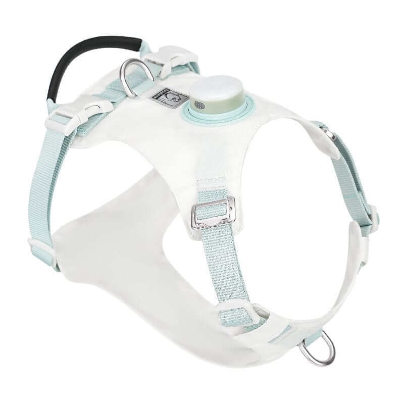 NightBright LED Dog Harness, durable and rechargeable, for safe nighttime walks with dogs and cats.