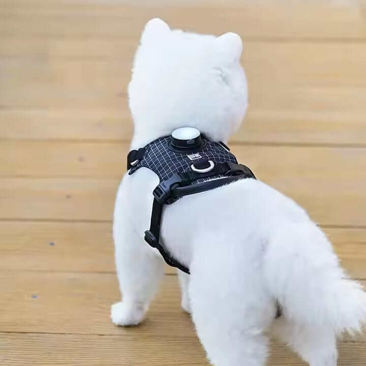 NightBright LED Dog Harness on a white dog, showcasing its rechargeable LED feature and stylish design for safety.
