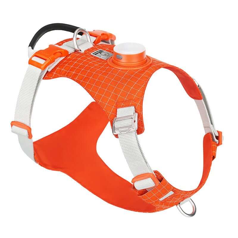 NightBright LED Dog Harness in bright orange color, featuring durable design and rechargeable LED light for safety.