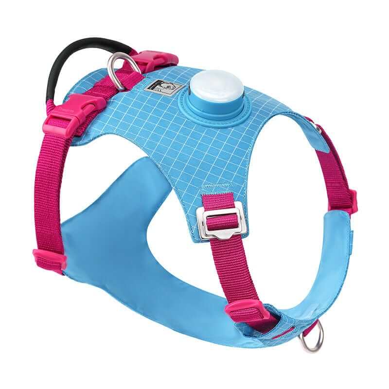 NightBright LED Dog Harness in blue and pink, featuring a rechargeable LED light for dog visibility.