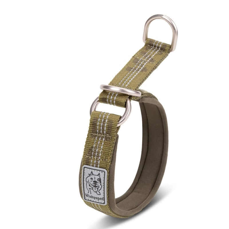 NightSafe Neoprene Dog Collar showcasing soft padding and 3M reflective stitching for comfort and safety in dogs.