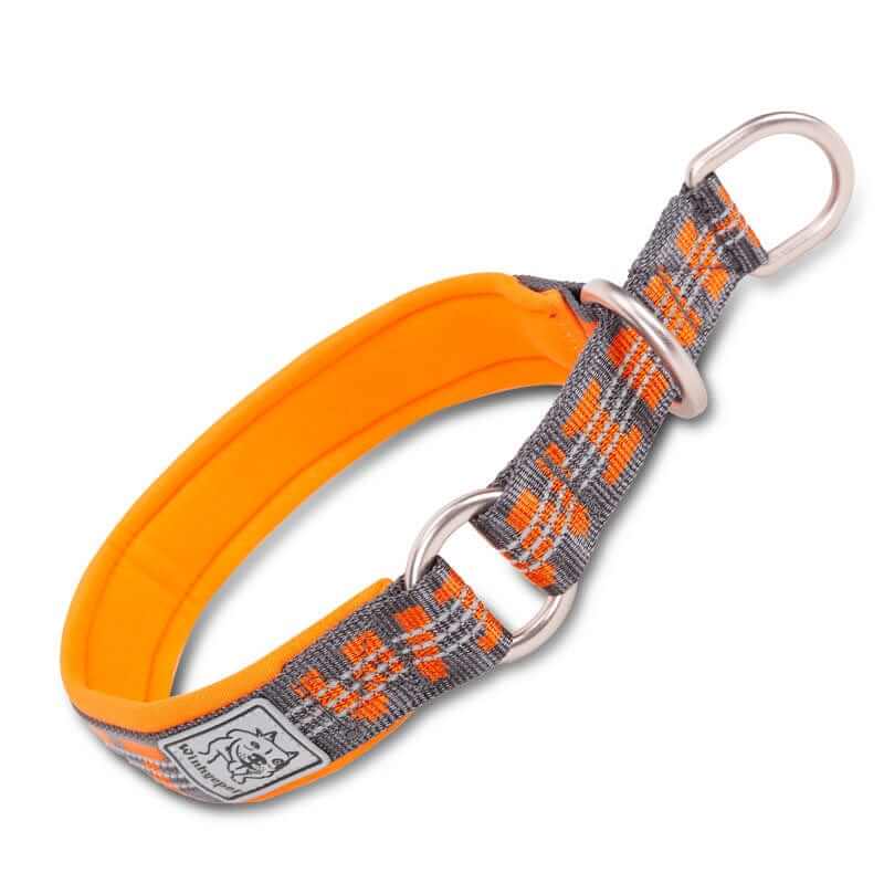 NightSafe Neoprene Dog Collar, comfortable and reflective, ideal for daily adventures, by Dogs & Cats.