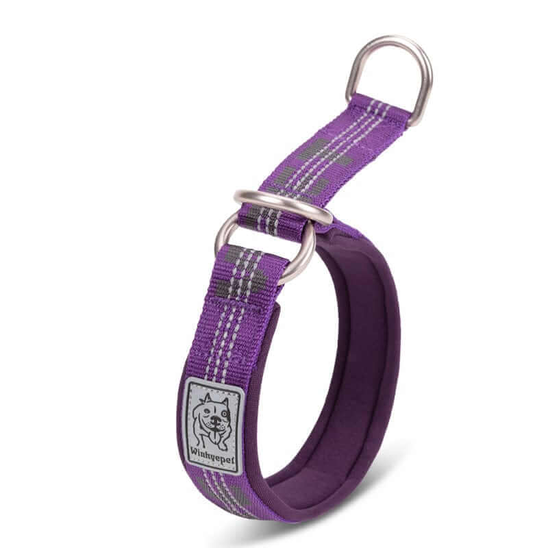 NightSafe Neoprene Dog Collar, soft neoprene padding, 3M reflective stitching, Dogs & Cats brand
