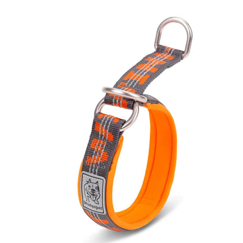 NightSafe Neoprene Dog Collar featuring soft neoprene padding and reflective stitching for dogs from Dogs & Cats.