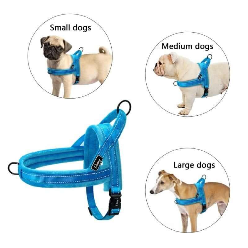 No-Pull Padded Dog Harness for small, medium, and large dogs with padded straps for comfort by Dogs & Cats.