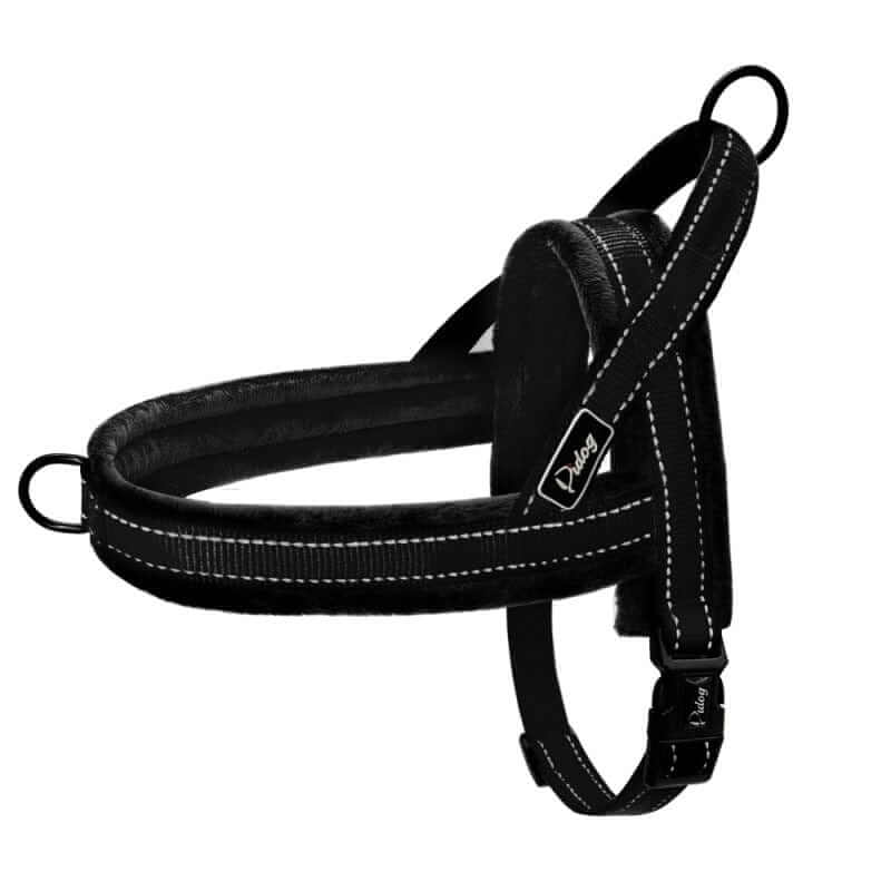 No-Pull Padded Dog Harness by Dogs & Cats brand, featuring padded straps for comfort and control during walks.