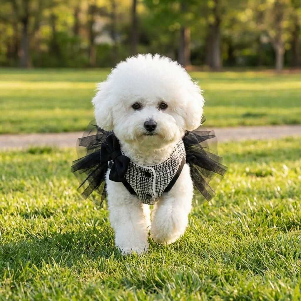 Number 5 Double Bow Tutu Dress for dogs, featuring a tutu skirt and breathable design from Dogs & Cats.