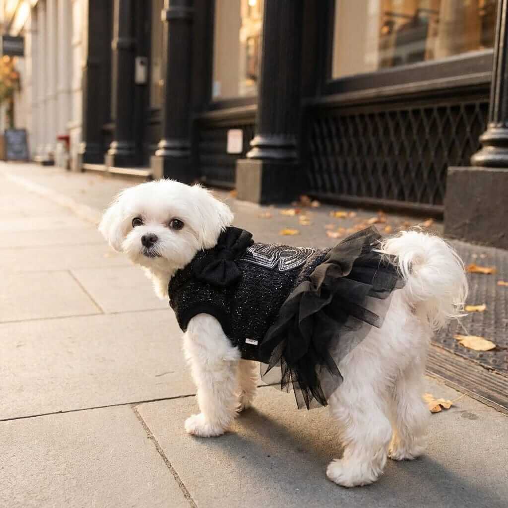 Number 5 Double Bow Tutu Dress for dogs, featuring breathable fabric, round neckline, and stylish tutu skirt.
