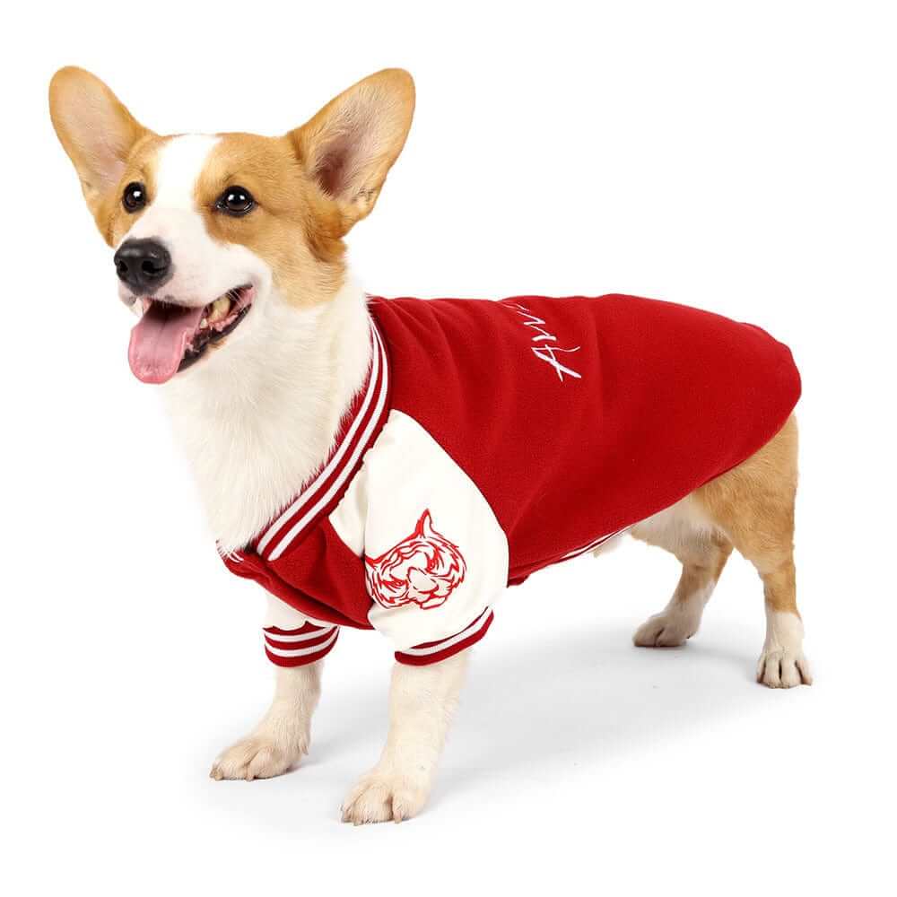 Number 8 Sporty Dog Hoodie on a cute corgi, perfect for small dogs, cozy velvet-lined, athletic style, Dogs & Cats brand.