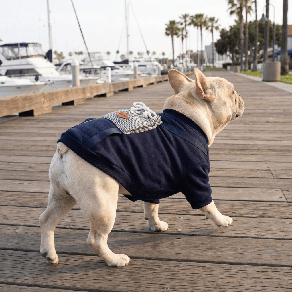 Stylish Padded Dog Sweater on a French Bulldog, breathable design, perfect for cool weather, by Dogs & Cats brand.