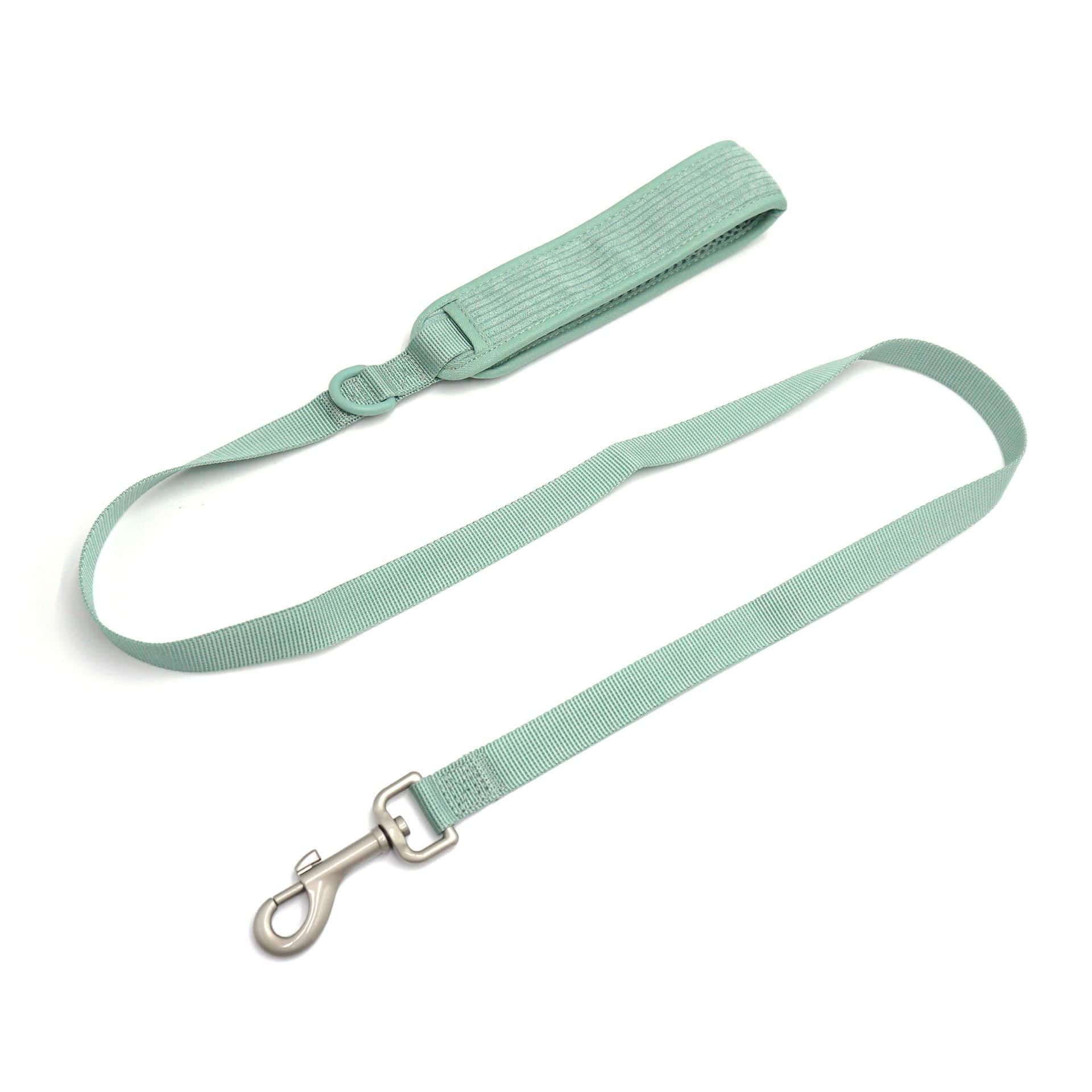 PawPerfect Dog Harness Kit leash in mint green, durable design for walking dogs, part of all-in-one kit.