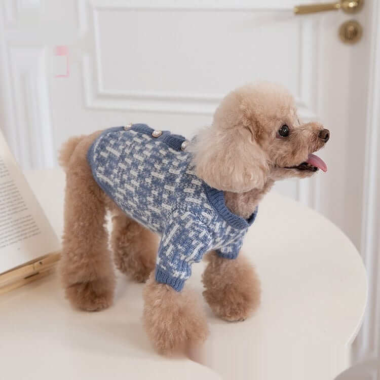 Pearl Knit Dog Sweater on a stylish dog, highlighting its elegant design and combination of comfort and warmth for dogs and cats.