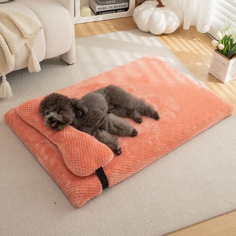 Pineapple Dreams Pet Bed with a cozy dog sleeping comfortably on a plush, stylish orange bed for pets.