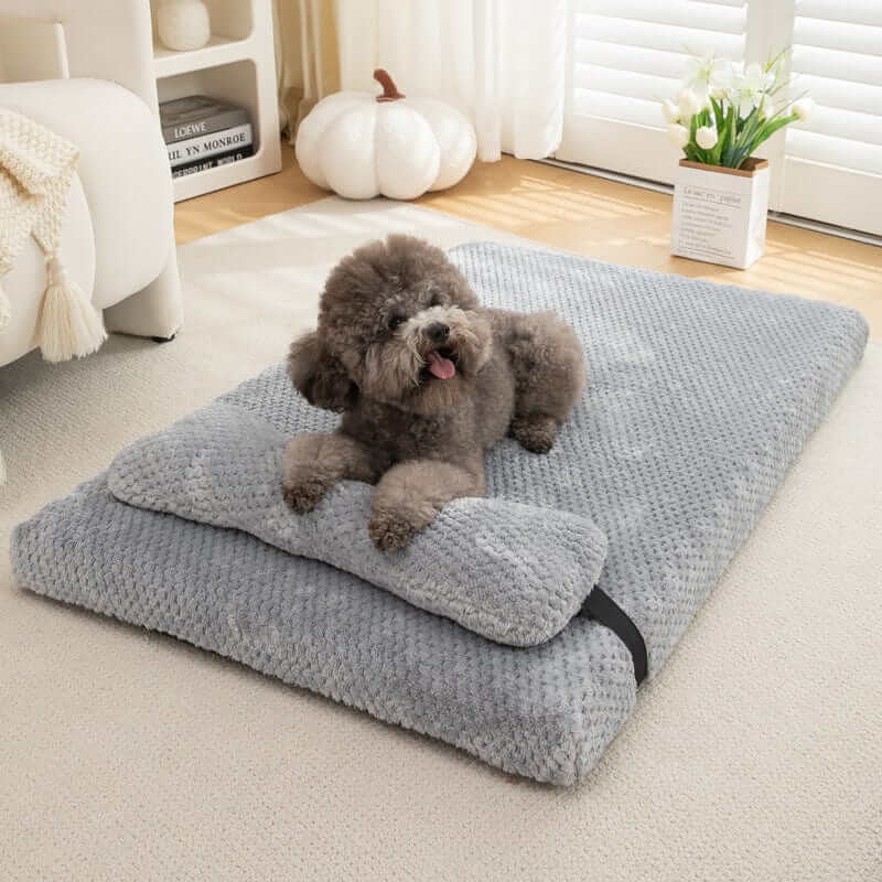 Pineapple Dreams Pet Bed with cozy plush design for Dogs & Cats, stylish sanctuary for snuggling and warmth.