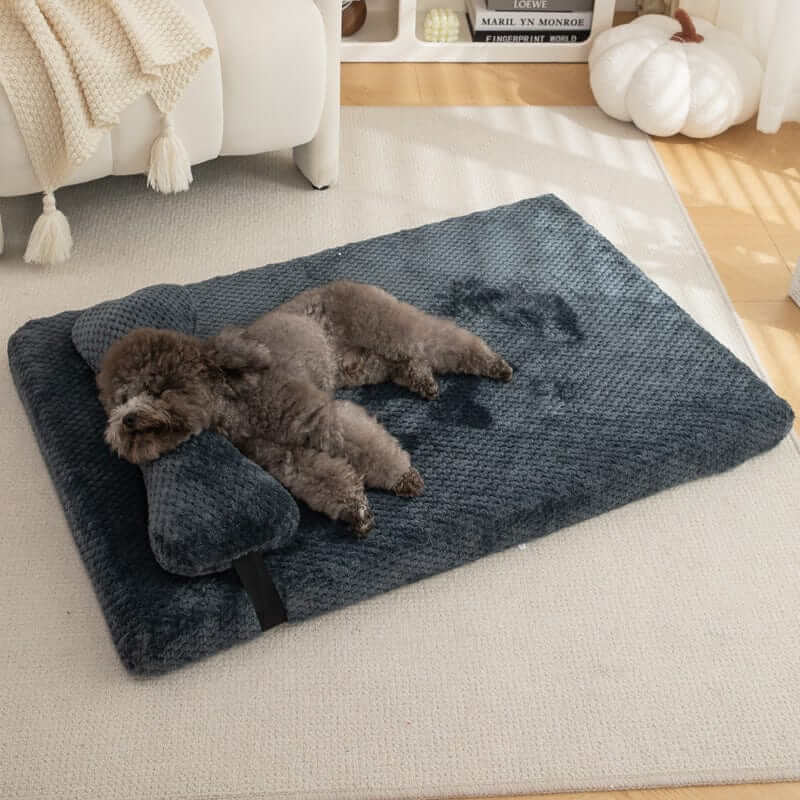 Pineapple Dreams Pet Bed featuring a cozy design for Dogs & Cats, offering warmth and style with plush comfort.