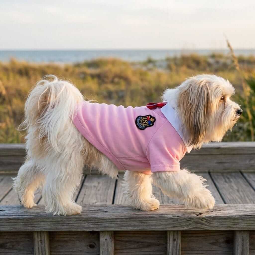 Plaid Dog Skirt Dress model on a dog, featuring stylish design and comfortable fabric for spring/summer by Dogs & Cats.