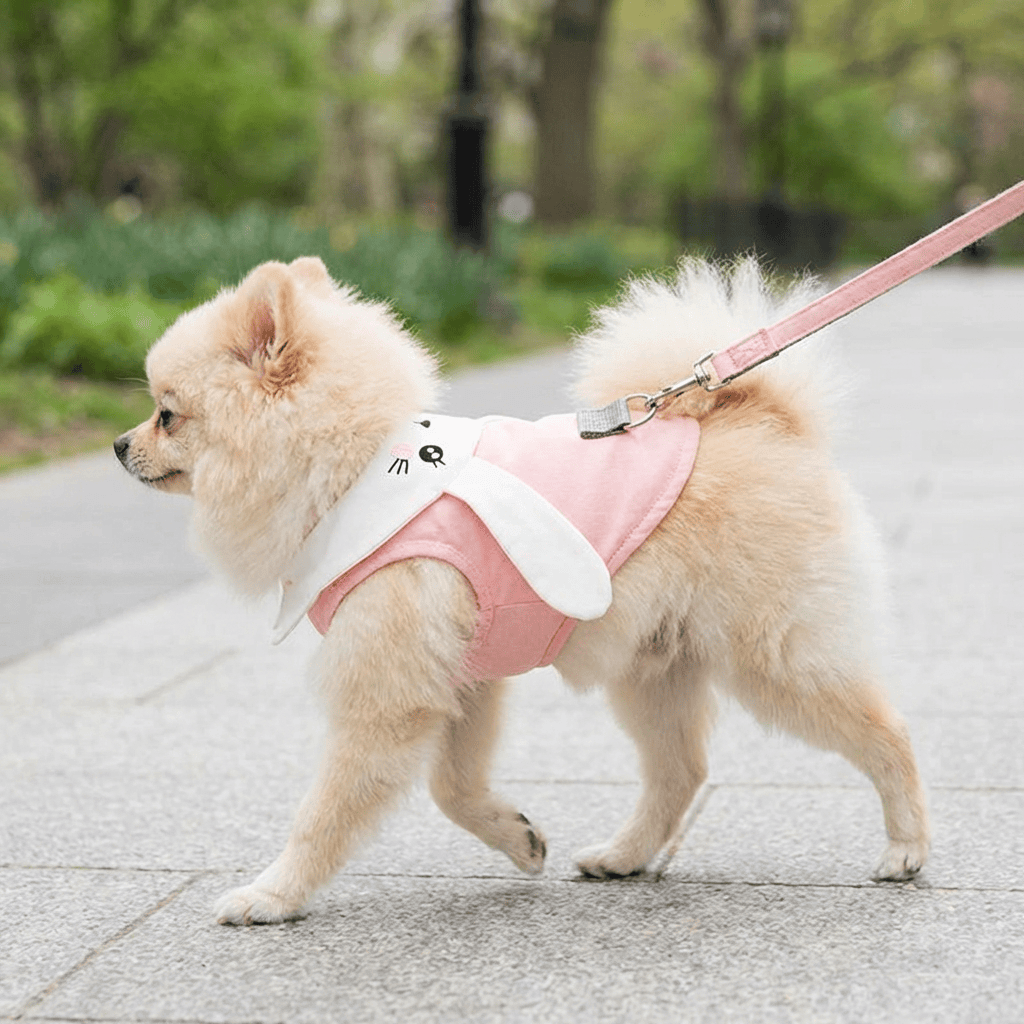 Pink Rabbit Harness Set for Dogs, featuring breathable mesh, soft inner lining, and stylish design for comfort.