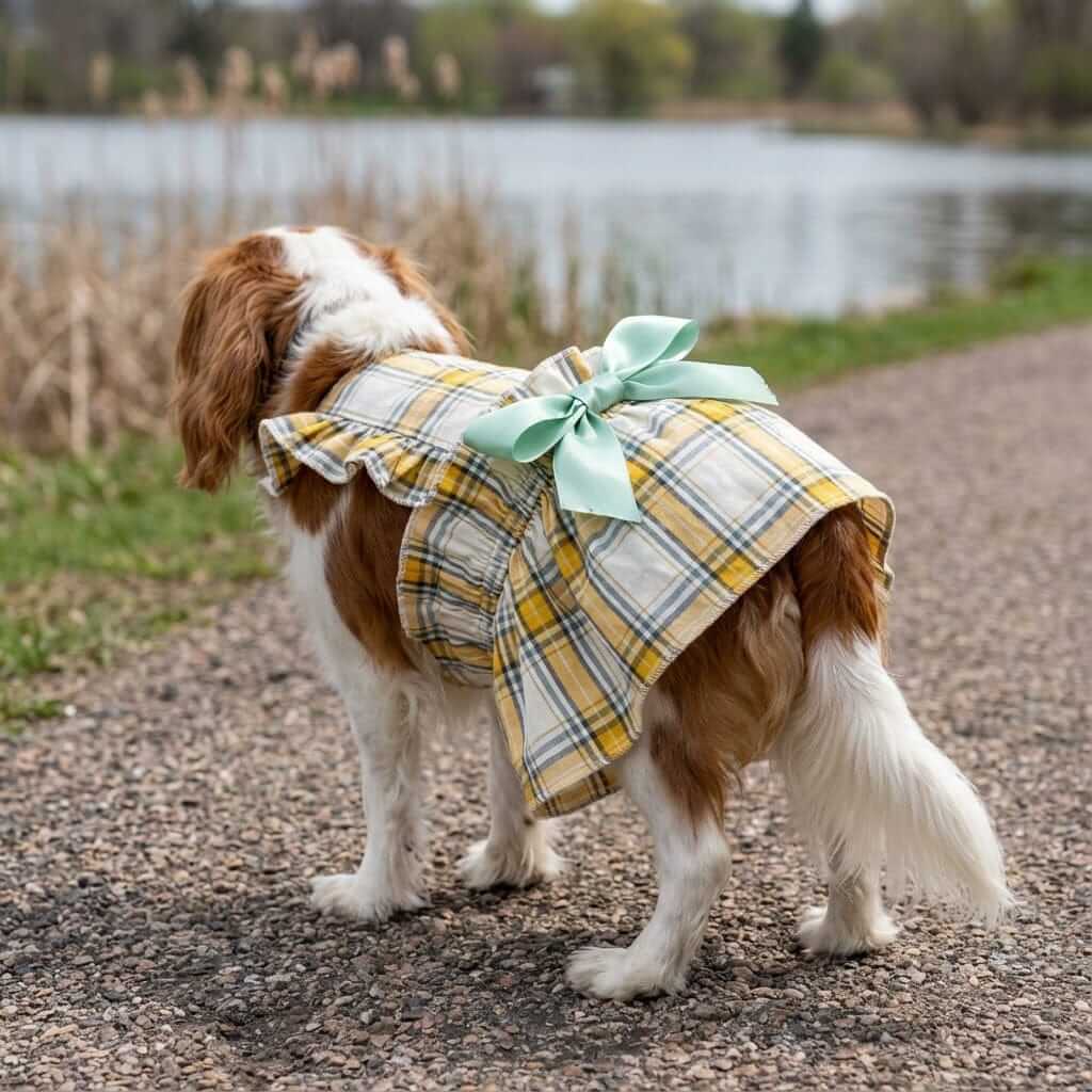 Plaid Bowknot Dog Princess Dress on a dog by the water, featuring a bow back, breathable, lightweight, stylish for Summer.