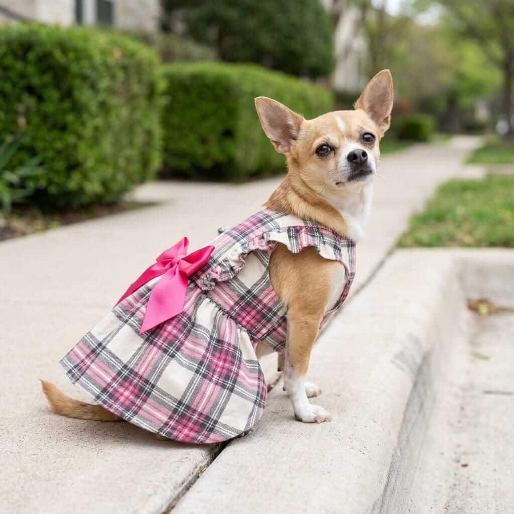 Plaid Bowknot Dog Princess Dress on a Chihuahua, featuring a breathable lightweight feel and stylish bow back. Perfect for dogs & cats.