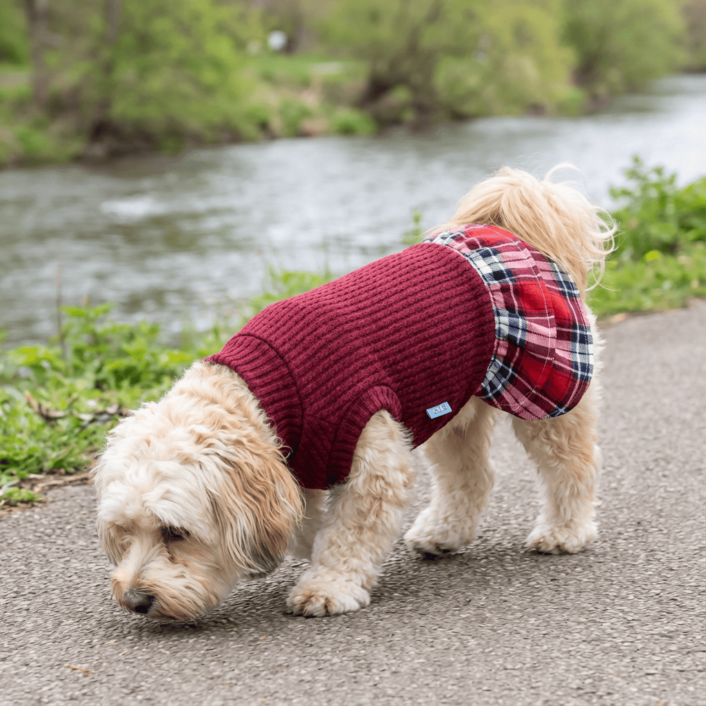 Plaid Skirt Princess Dog Dress on a dog near a river showcasing breathable fabric and stylish plaid design, by Dogs & Cats.