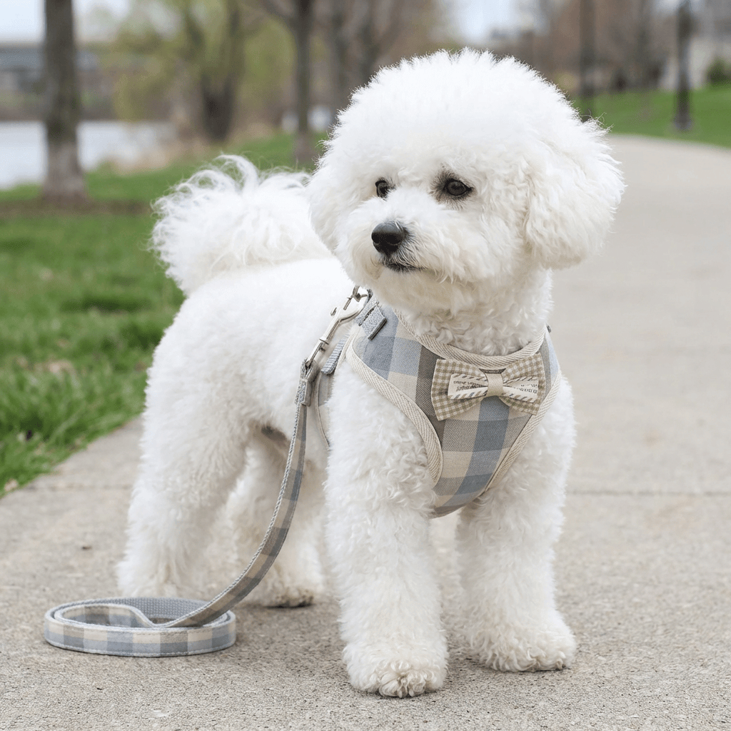 Plaid Soft Mesh Dog Harness on a fluffy white dog with bowtie, features soft padding for comfort, perfect for Dogs & Cats.