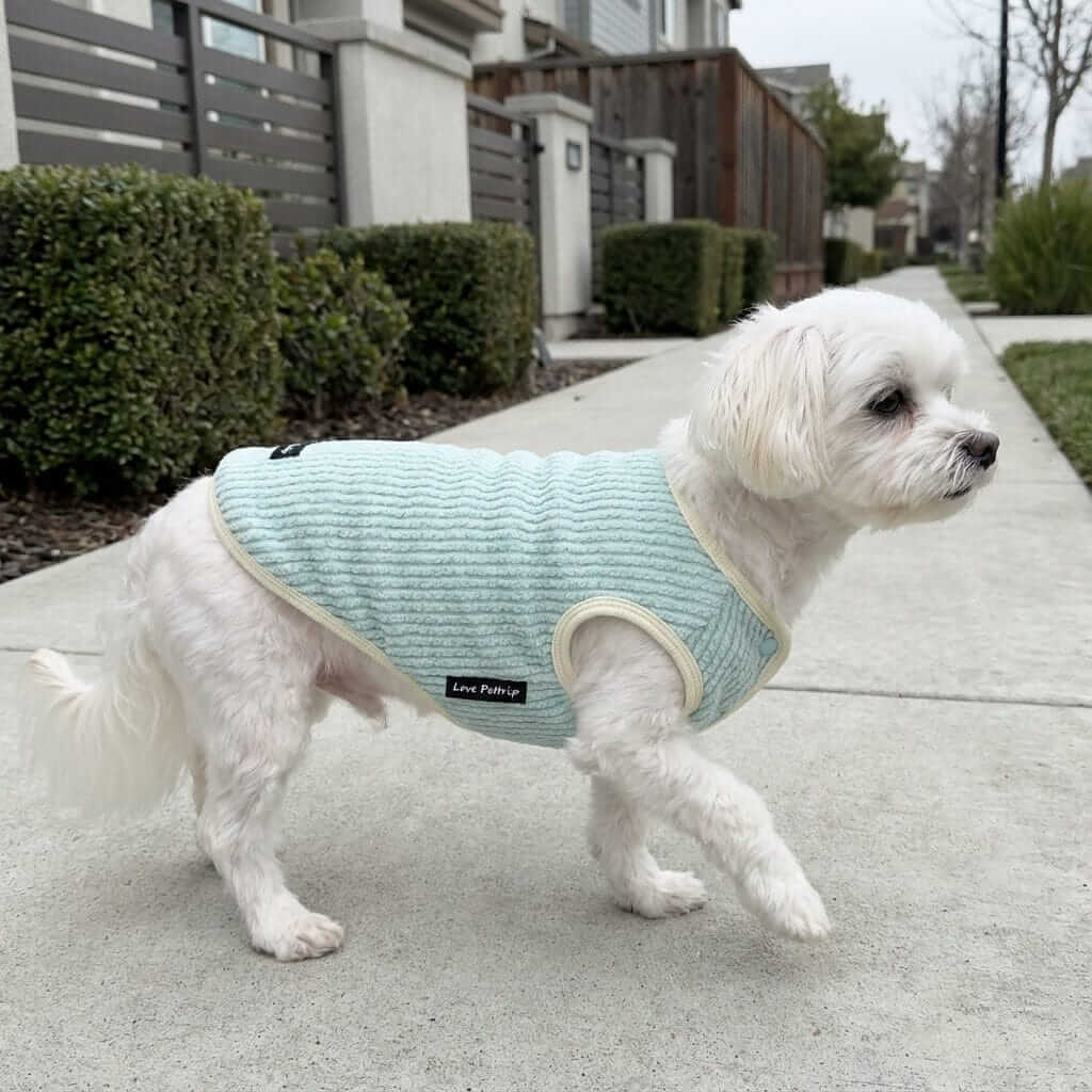 Plush Warm Dog Vest on a small dog, featuring soft knit design for warmth, perfect for fall or winter, by Dogs & Cats.