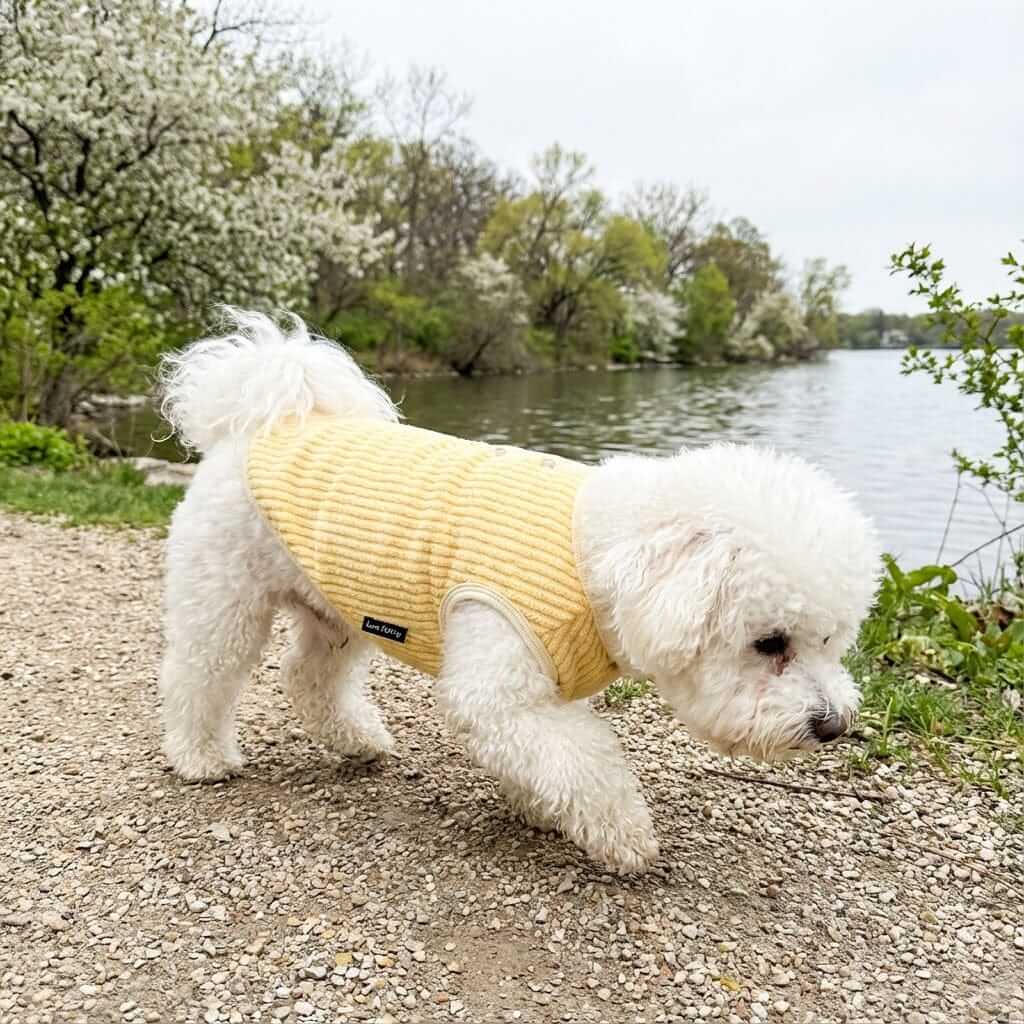 Plush Warm Dog Vest on a white dog by the lake, designed for warmth and style in chilly weather, perfect for dogs & cats.