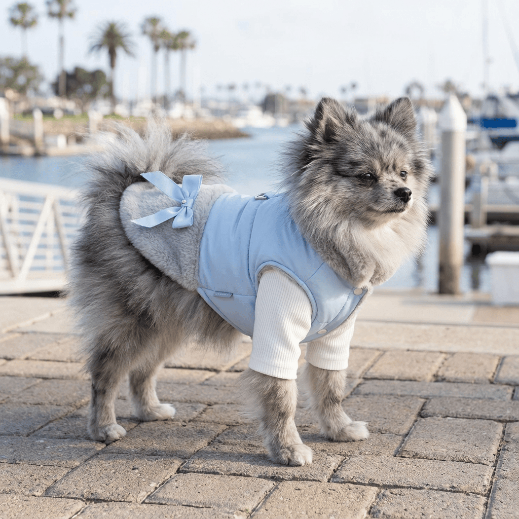 Plushy Autumn And Winter Dog Sweater on a stylish dog by the docks, showcasing breathable fabric and short sleeves.