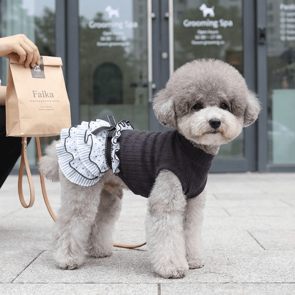 Polka Dot Puppy Dress on a fluffy dog, featuring chic polka dots, great for spring and autumn adventures from Dogs & Cats.