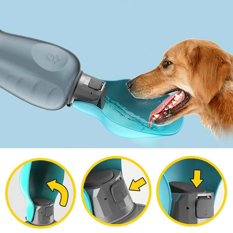Portable Dog Water Bottle for hydration on-the-go, features spill-proof design, perfect for dogs and cats.