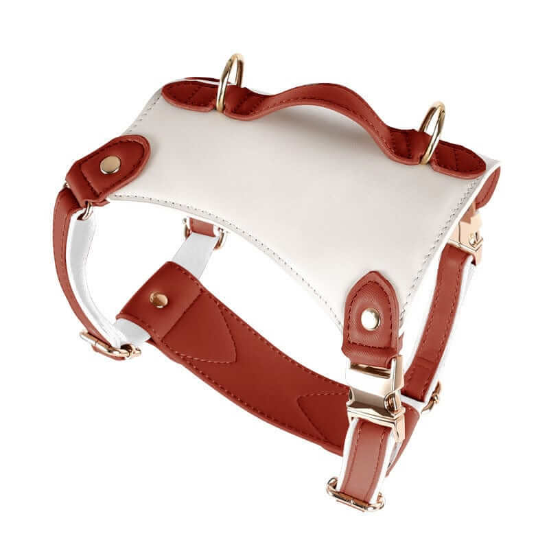PowerPaw Leather Harness, stylish and durable harness for dogs, ideal for medium to large breeds by Dogs & Cats.