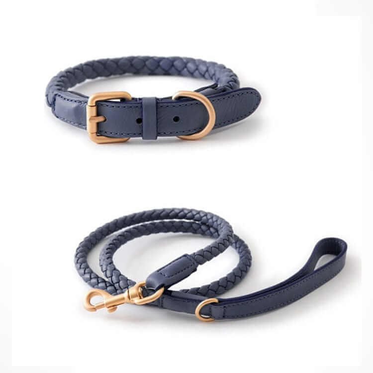 Premium Dog Collar and Leash Set featuring durable leather design, adjustable collar and braided leash for medium and large dogs.
