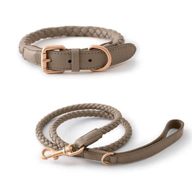 Premium Dog Collar and Leash Set featuring a durable braided design for medium & large dogs by Dogs & Cats.