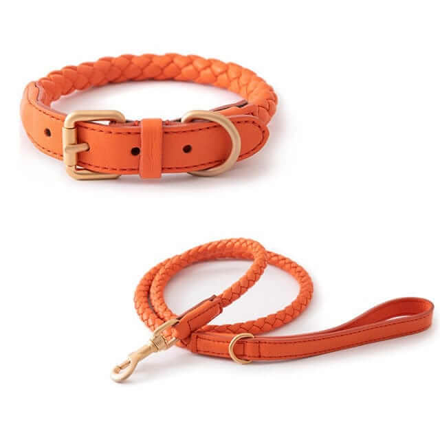 Premium Dog Collar and Leash Set in vibrant orange, featuring durable braided design for medium and large dogs.