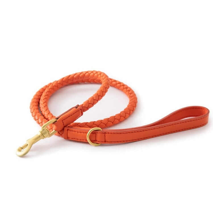 Premium Dog Collar and Leash Set in orange with braided design, perfect for medium and large dogs.