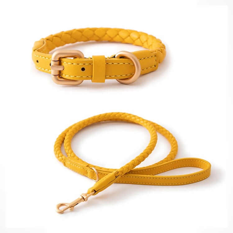 Premium Dog Collar and Leash Set in yellow featuring durable braided design for medium and large dogs by Dogs & Cats.